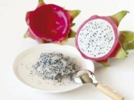 Gieo hạt thanh long thành chậu cây nhỏ xinh tặng bạn - 1