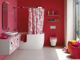 Phong thủy cho nhà vệ sinh  - 1