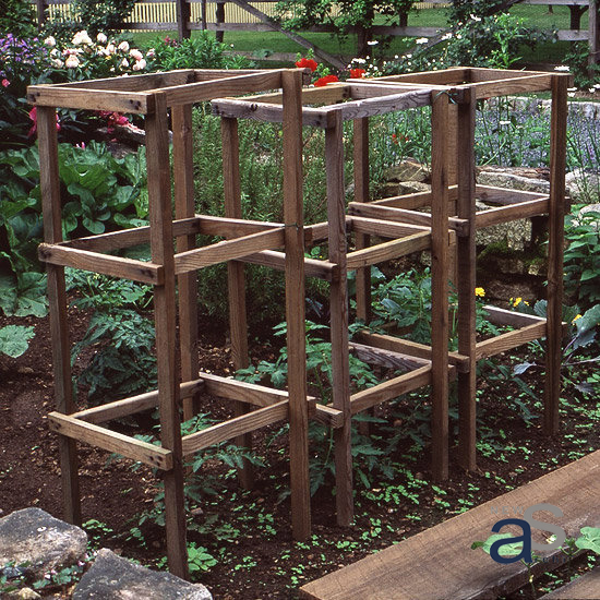 Những chiếc giàn hình thang bằng gỗ là cách cuốn hút cây cà chua tăng trưởng nhanh chóng