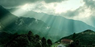 Quanh co trên đỉnh Mẫu Sơn - 1