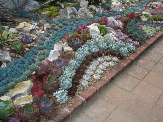 Những ý tưởng thú vị làm đẹp khu vườn với hoa đá