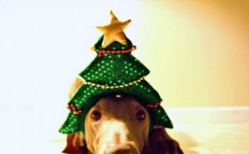 5 Tips on Decorating for the Holidays ...