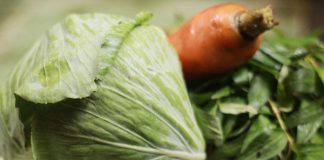 Cách muối dưa bắp cải ngon nhất chỉ 1 ngày là được ăn - 1