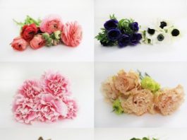 cach-cam-hoa-hong-don-gian-khong-can-dung-lo-hoa-1