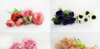 cach-cam-hoa-hong-don-gian-khong-can-dung-lo-hoa-1