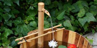 Dai-phun-nuoc-gan-cua-chinh-thu-hut-tai-loc-vao-nha-1