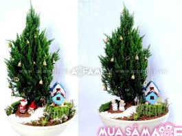 Khu vườn giáng sinh thu nhỏ xinh và độc đáo - 1