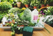 Làm khay hoa quả trang trí nhà với cải bắp trong vườn - 1