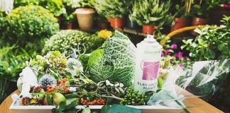 Làm khay hoa quả trang trí nhà với cải bắp trong vườn - 1