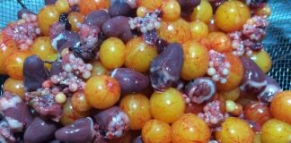 Thêm món xào ngon cơm với dứa xào trứng non - 1