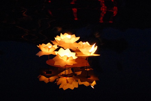 Cách làm đèn hoa đăng thả sông lung linh đón ngày lễ Vu Lan17