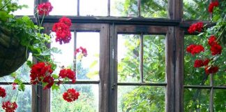 cach-giai-han-huong-nha-khong-hop-tuoi-gia-chu-lamsao.com-1