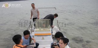 Thú vị tour du lịch uống bia... với khỉ ở Cát Bà - 1