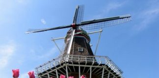 Học bổng ngắn hạn NFP tại Hà Lan