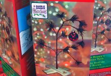 Cách trang trí căn hộ nhỏ Giáng sinh - 1