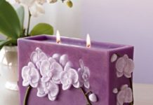 Meo-giu-nha-khong-bi-hoi-1