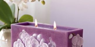 Meo-giu-nha-khong-bi-hoi-1