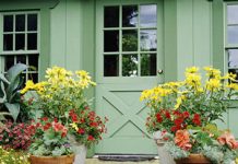 Hướng dẫn trang trí vườn cho những chậu hoa nhỏ - 1