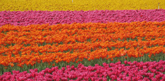 Những điểm du lịch ngoài trời thu hút nhất ở Châu Âu