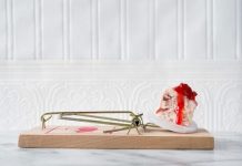 cách diệt chuột hiệu quả trong nhà