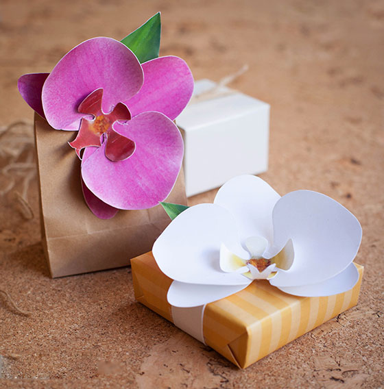 Tự làm hoa phong lan trang trí hộp quà 8.3 - 5