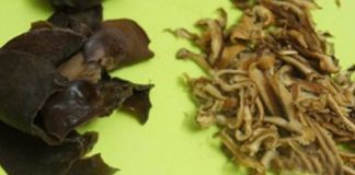 Bí nhồi thịt hấp lạ lạ ngon ngon  - 1