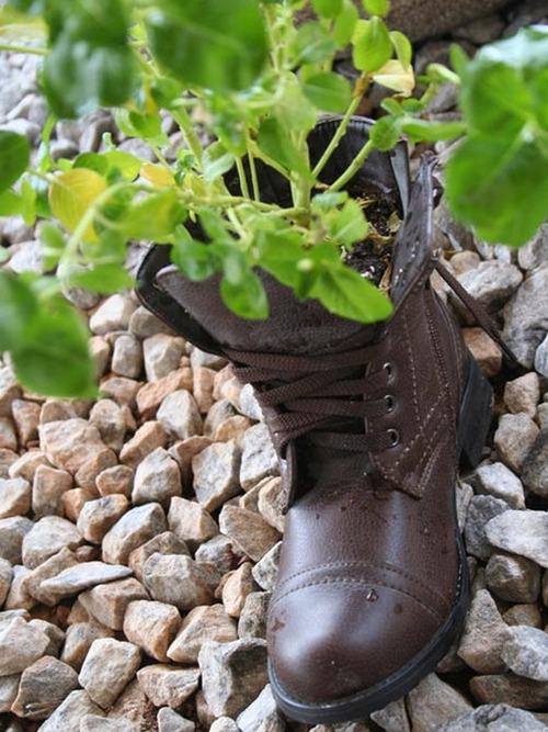 Cách tận dụng giày cũ để... trồng hoa - 21