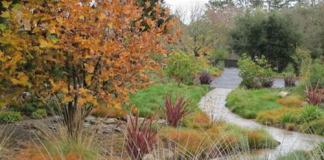 Những mẫu vườn đẹp kiểu Mỹ