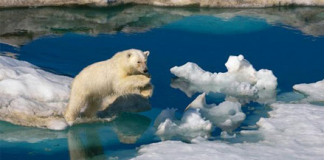 Na Uy - ngọn lửa ấm vùng cực bắc