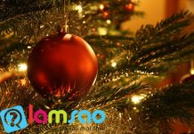 Cách trang trí cây thông giáng sinh 