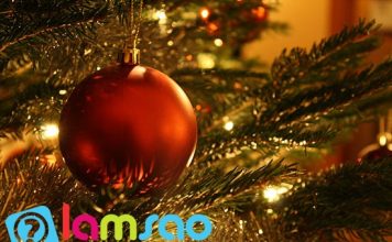 Cách trang trí cây thông giáng sinh 