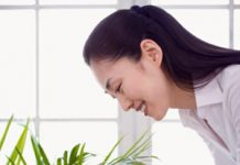 Mẹo hay chăm sóc cây trong nhà - 1