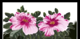 Treo tranh ở văn phòng đem lại may mắn