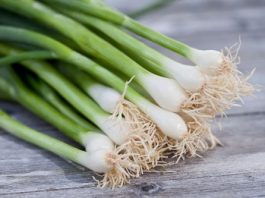 Cách trồng hành lá cực đơn giản, sạch sẽ trong nhà