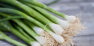 Cách trồng hành lá cực đơn giản, sạch sẽ trong nhà