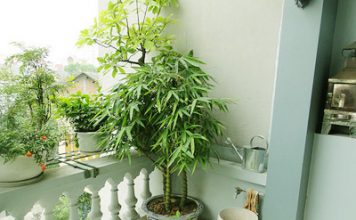 Phong thủy hóa giải vận xui thất nghiệp, Không gian đẹp, phong thuy that nghiep, phong thuy nha o, phong thuy cong viec, phong thuy nha cua, phong thuy