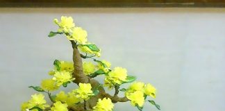 Tổng hợp các mẫu hoa mai pha lê để bạn làm ngay đón Tết1