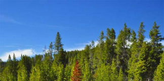 Khám phá công viên quốc gia cổ nhất thế giới