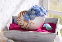 Nhà xinh nhờ sắc hoa màu xanh Nhà xinh yêu ngỡ ngàng nhờ sắc hoa xanh - 1