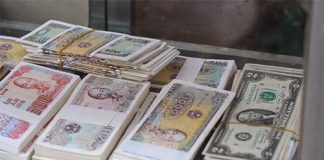 Cách làm cây tài lộc bằng tiền thật đón Tết may mắn - 1