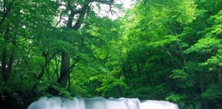 Đạt ý nguyện nhờ treo tranh theo phong thủy - Archi