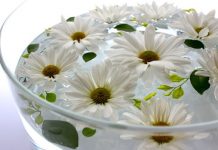 Dùng bát hoa thả, cách trang trí nhà của người chủ thông minh 1