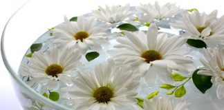 Dùng bát hoa thả, cách trang trí nhà của người chủ thông minh 1