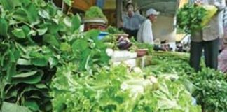 Những loại rau nào dễ nhiễm khuẩn nhất - 1