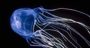 Những điểm du lịch nguy hiểm nhất thế giới - 1