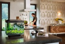 14 điều tối kỵ khi sắp xếp nội thất theo phong thủy 14 điều tối kỵ khi sắp xếp nội thất theo phong thủy 1