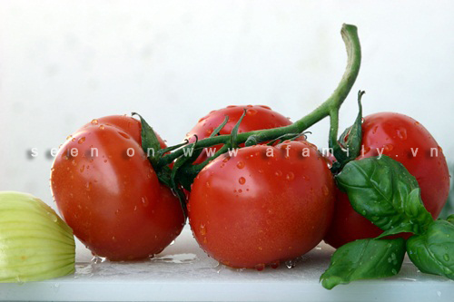 Hướng dẫn 10 lợi ích sức khỏe tuyệt vời của cà chua - 4