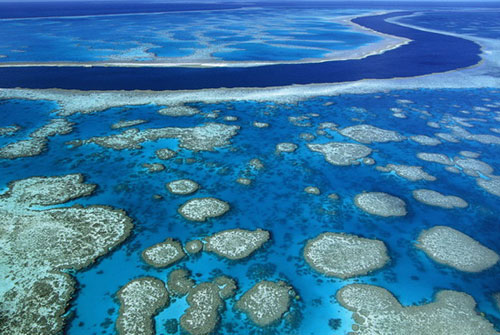 Rạn san hô Great Barrier của Australia là hệ thống đá ngầm san hô lớn nhất Thế giới.