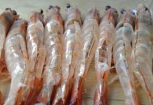 Cách làm tôm nướng phô mai thơm nức mũi Cách làm tôm nướng phô mai thơm nức mũi - 1