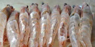 Cách làm tôm nướng phô mai thơm nức mũi - 1